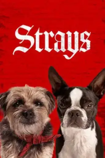 Download Strays (2023) Hindi-English HDRip Full Movie Download Strays (2023) Hindi-English HDRip Full Movie