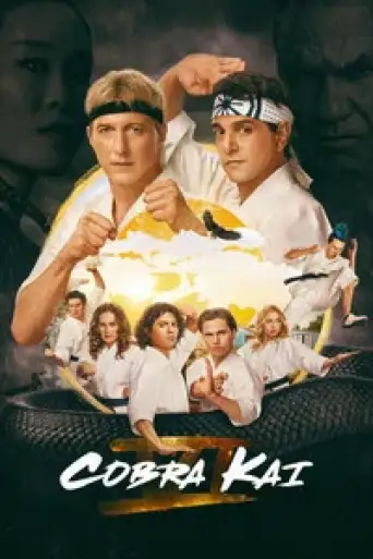 Download Cobra Kai (Season 6) Hindi Dubbed HDRip Full Series Download Cobra Kai (Season 6) Hindi Dubbed HDRip Full Series
