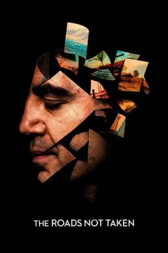 The Roads Not Taken (2020) BluRay [Hindi DD2.0 & English] Dual Audio 1080p & 720p & 480p x264 ESubs HD