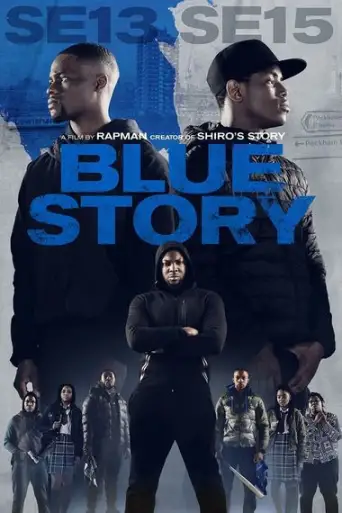 Blue Story (2019) BluRay [Hindi DD2.0 & English] Dual Audio 720p & 480p x264 ESubs HD