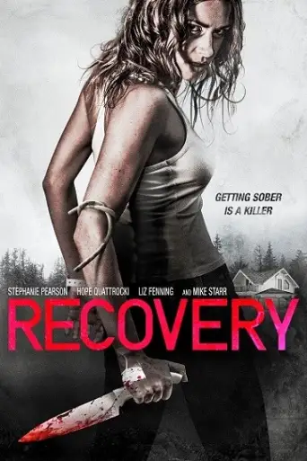 Recovery (2019) BluRay [Hindi DD2.0 & English] Dual Audio 720p & 480p x264 HD