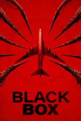 Black Box (2025) BluRay [Hindi (DD2.0) & English] 1080p 720p & 480p Dual Audio [x264/10Bit-HEVC]