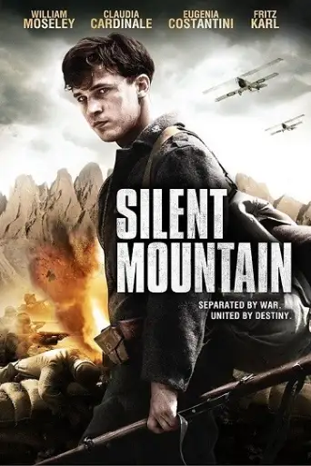 The Silent Mountain (2014) BluRay [Hindi + English] 720p & 480p Dual Audio HD Esub