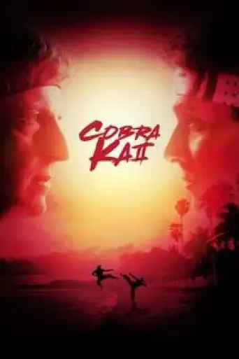 Cobra Kai (Season 2) WEB-DL [Hindi DD5.1 & English] 1080p & 720p Dual Audio [x264/HEVC] | Netflix Series