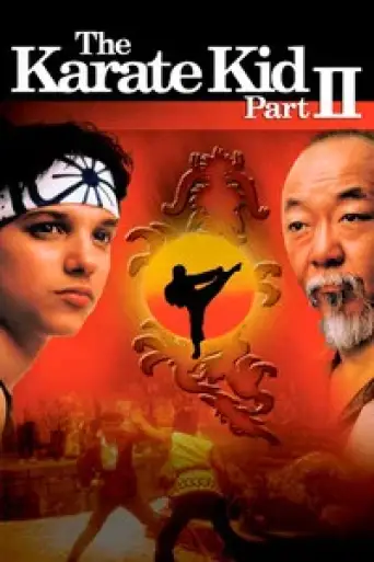 The Karate Kid Part II (1986) BluRay [Hindi (DD2.0) & English] 1080p 720p & 480p [x264/10Bit-HEVC]