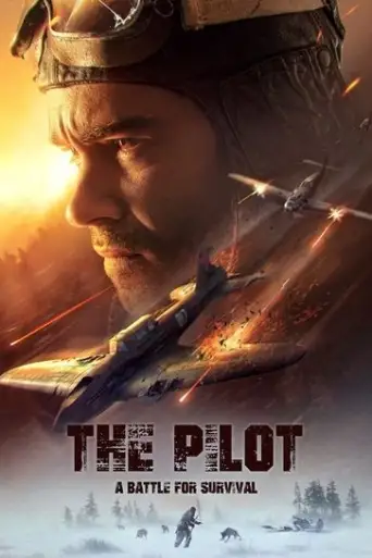 The Pilot. A Battle for Survival (2022) BluRay [English DD2.0] 720p & 480p x264