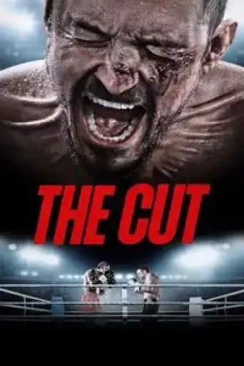 The Cut (2024) BluRay [Hindi (DD2.0) & English] 4K 1080p 720p & 480p Dual Audio [x264/10Bit-HEVC]