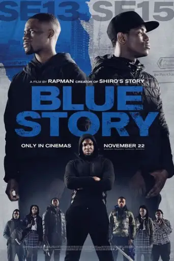 Blue Story (2019) WEB-HD [Hindi DD5.1 & English] Dual Audio 1080p & 720p & 480p x264 ESubs HD