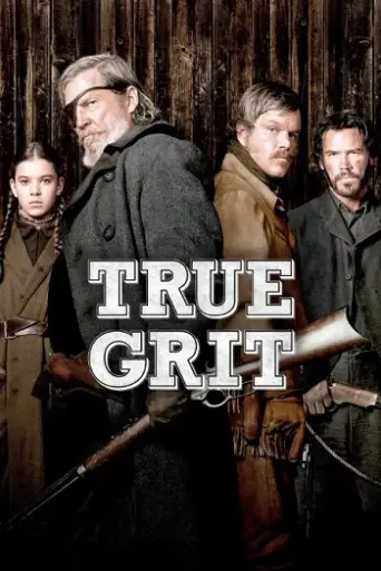 True Grit (2010) BluRay [Hindi (DD5.1) & English] 1080p 720p & 480p Dual Audio [x264]