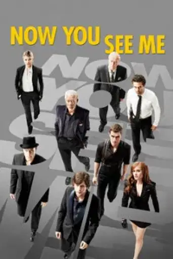 Now You See Me (2013) EXTENDED BluRay [Hindi (DD5.1) & English] 1080p 720p & 480p [x264/10Bit-HEVC]