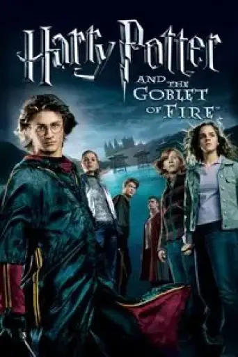 Harry Potter and the Goblet of Fire (2005) BluRay [Hindi (ORG 5.1) & English] 1080p 720p & 480p Dual Audio [x264/10Bit-HEVC]