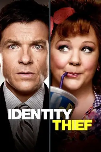Identity Thief (2013) BluRay [Hindi (DD5.1) & English] 1080p 720p & 480p Dual Audio [x264]