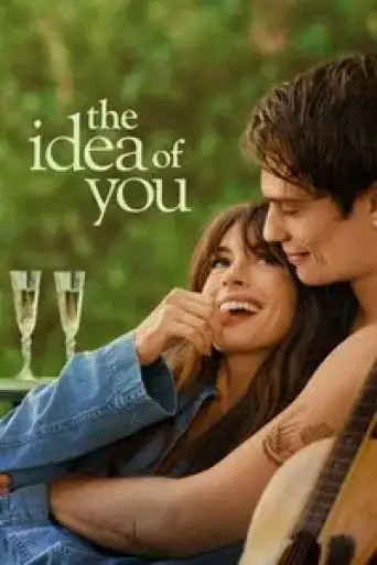 The Idea of You (2024) WEB-DL [Hindi (ORG 5.1) + English] 1080p 720p & 480p Dual Audio [x264/10Bit-HEVC]