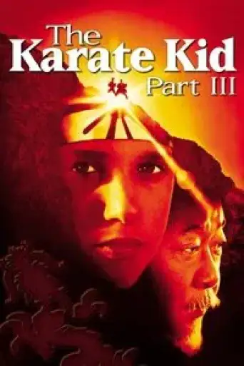The Karate Kid Part III (1989) BluRay [Hindi (DD2.0) & English] 1080p 720p & 480p [x264/10Bit-HEVC]