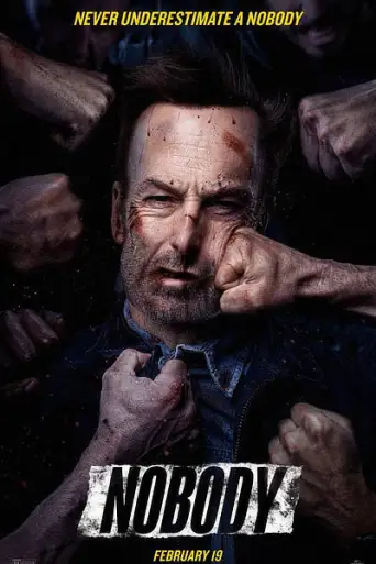 Nobody (2021) BluRay [Hindi (ORG 5.1) & English] Dual Audio 1080p / 720p / 480p x264 HD