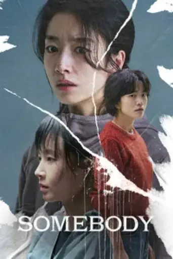 Somebody (2025) WEB-DL [Hindi (DD5.1) & Korean] 1080p 720p & 480p Dual Audio [x264/10Bit-HEVC]