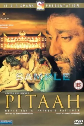 Pitaah (2002) WEB-DL [Hindi DD2.0] 1080p 720p & 480p [x264]
