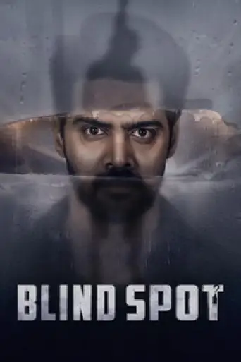 Blind Spot (2025) WEB-DL [Hindi (DD2.0) & Telugu] 1080p 720p & 480p Dual Audio [x264/10Bit-HEVC]