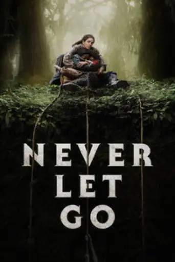 Never Let Go (2024) BluRay [Hindi (ORG 5.1) & English] 4K 1080p 720p & 480p Dual Audio [x264/10Bit-HEVC]