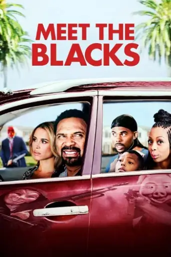 Meet the Blacks (2016) BluRay [Hindi (DD5.1) & English] 1080p 720p & 480p Dual Audio [x264]