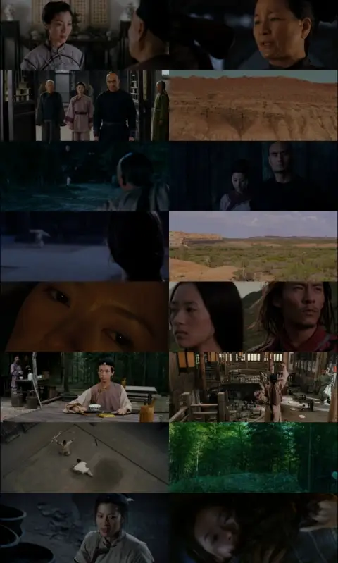Still 1 of Crouching Tiger, Hidden Dragon (2000) BluRay [Hindi (DD5.1) & English] 1080p 720p & 480p Dual Audio [x264]