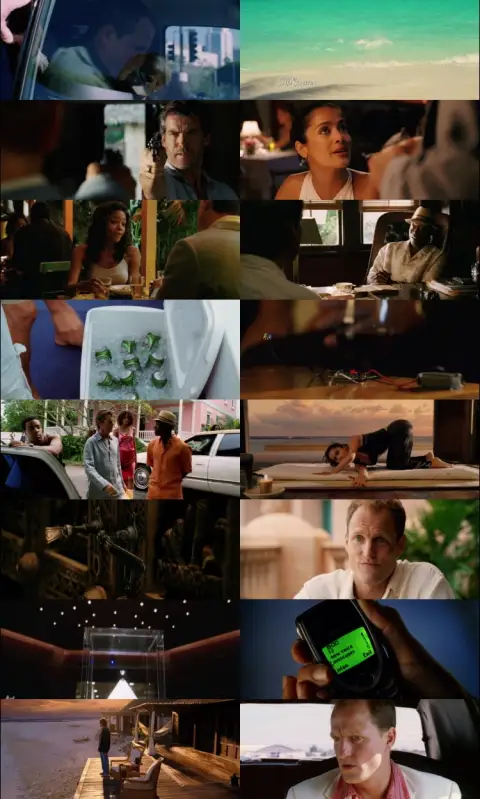Still 1 of After the Sunset (2004) BluRay [Hindi (DD2.0) & English] 1080p 720p & 480p Dual Audio [x264]