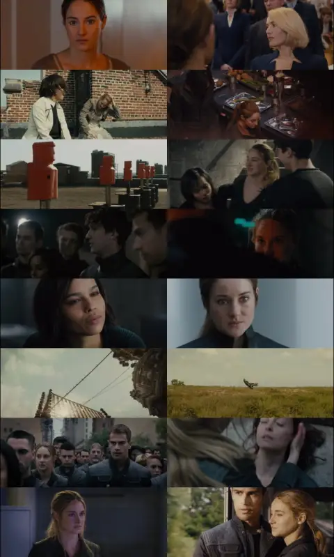 Still 1 of Divergent (2014) BluRay [Hindi (DD5.1 & English] 1080p 720p & 480p Dual Audio [x264