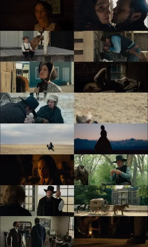 Still 1 of The Homesman (2014) BluRay [Hindi (DD5.1) & English] 1080p 720p & 480p Dual Audio [x264]