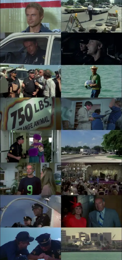 Still 1 of Super Fuzz (1980) BluRay [Hindi (DD2.0) & English] 1080p 720p & 480p Dual Audio [x264]