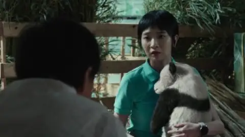 Still 4 of Panda Plan (2024) BluRay [Hindi (DD2.0) & English] 1080p 720p & 480p Dual Audio [x264/10Bit-HEVC]