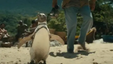 Still 3 of My Penguin Friend (2024) WEB-DL [Hindi (DD5.1) & English] 4K 1080p 720p & 480p Dual Audio [x264/10Bit-HEVC]