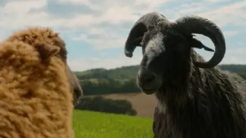 Still 1 of The Sheep Detectives (2026) WEB-DL [Hindi (DD5.1) & English] 4K 1080p 720p & 480p Dual Audio [x264/10Bit-HEVC]