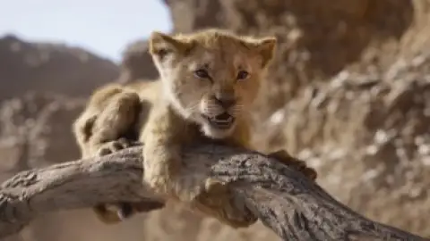 Still 2 of The Lion King (2019) BluRay [Hindi (ORG 2.0) & English] 4K 1080p 720p & 480p [x264/10Bit-HEVC]