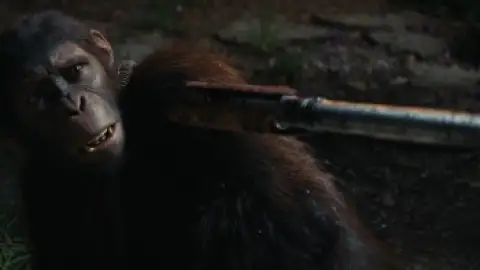 Still 1 of Kingdom of The Planet of The Apes (2024) WEB-DL [Hindi (DD5.1) & English] 4K 1080p 720p & 480p Dual Audio [x264/10Bit-HEVC]