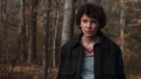 Still 5 of Stranger Things (Season 2) BluRay [Hindi (DD5.1) & English] 1080p 720p & 480p [x264/10Bit-HEVC] | NF Series