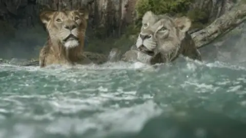 Still 4 of Mufasa: The Lion King (2024) BluRay[Hindi (ORG DD5.1) & English] 1080p 720p & 480p Dual Audio [x264/]